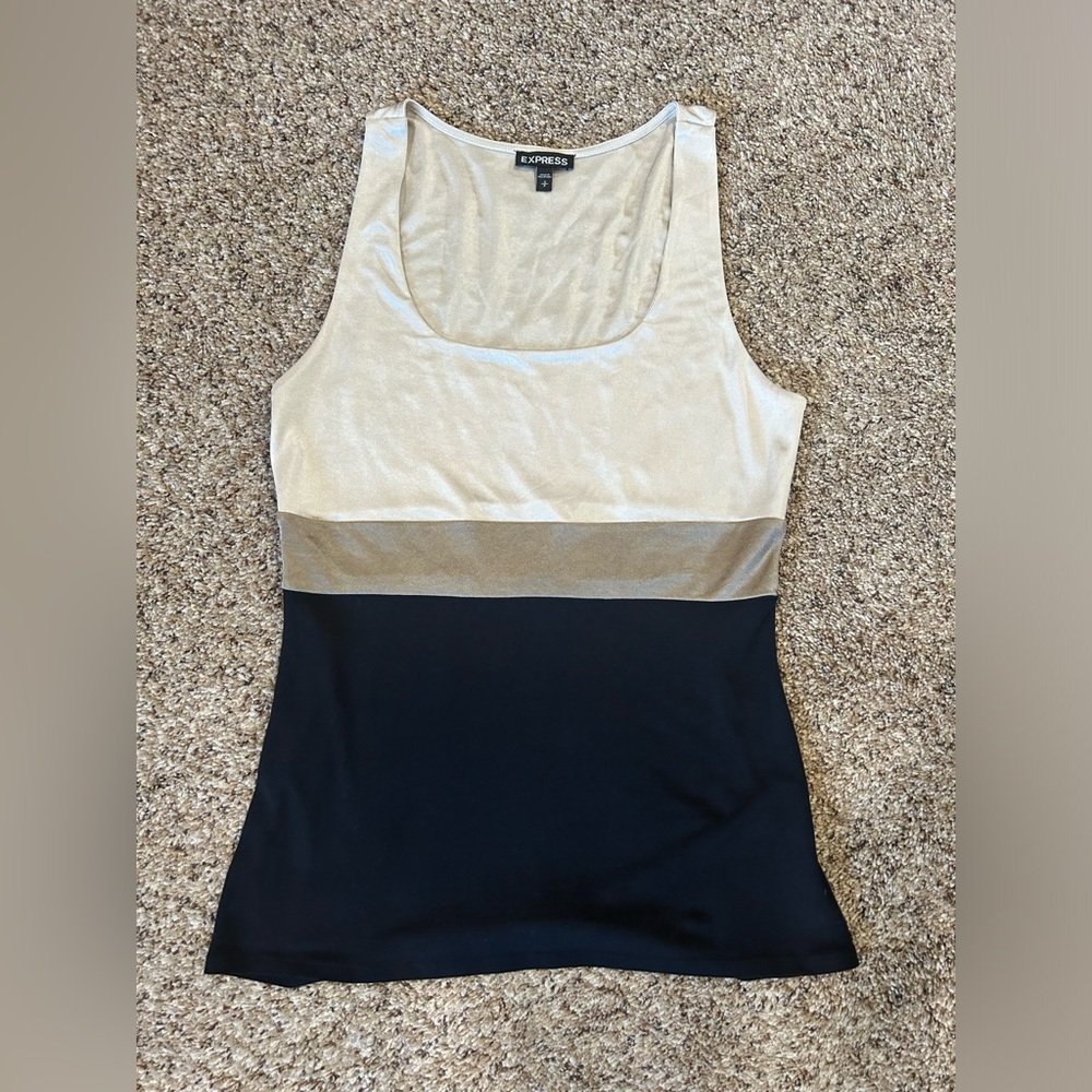 Fitted Women’s Express dress tank top in a small.